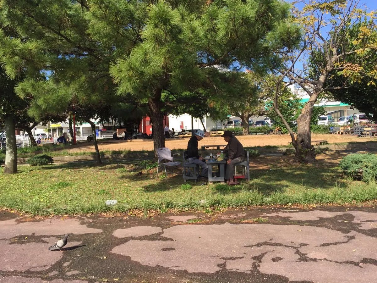 🌸 요기 공원(요기코엔) 이미지 5